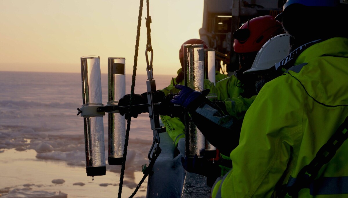 Noregs største forskingsprosjekt: Slik navigerer forskarane i eit hav av data