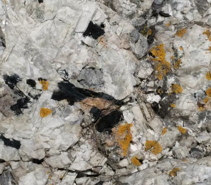 På denne lille biten av pegmatitten, litt større en en voksen manns hånd, kan man se fem ulike mineraler som er originalbeskrevet fra Låven: leukofan, katapleiitt, mosandritt, astrofyllitt og ægirin. (Foto: Eivind Torgersen)