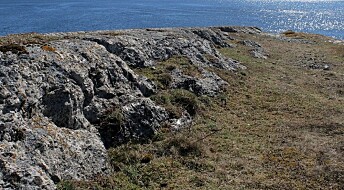 Denne lille holmen i Langesundsfjorden er proppfull av sjeldne mineraler