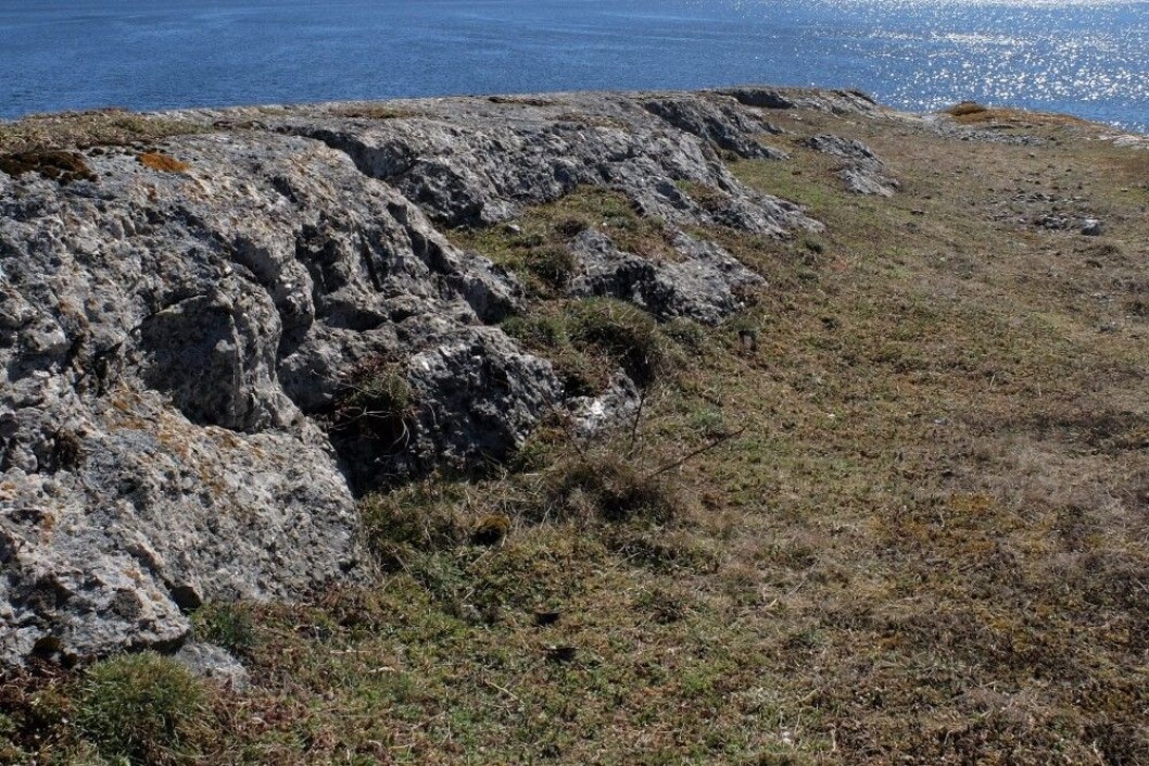Spor av isbreers herjinger i de lange rennene ned mot sjøen. Spor etter hakkende mineraljegere i berget. (Foto: Eivind Torgersen) Spor av isbreers herjinger i de lange rennene ned mot sjøen. Spor etter hakkende mineraljegere i berget. (Foto: Eivind Torgersen)