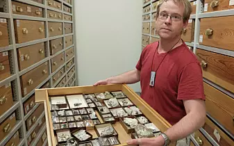 I magasinet til Geologisk museum i Oslo har førsteamanuensis Henrik Friis tilgang til titusenvis av prøver, både av bergarter og av mineraler. Flere av skuffene har prøver fra Låven. (Foto: Eivind Torgersen)