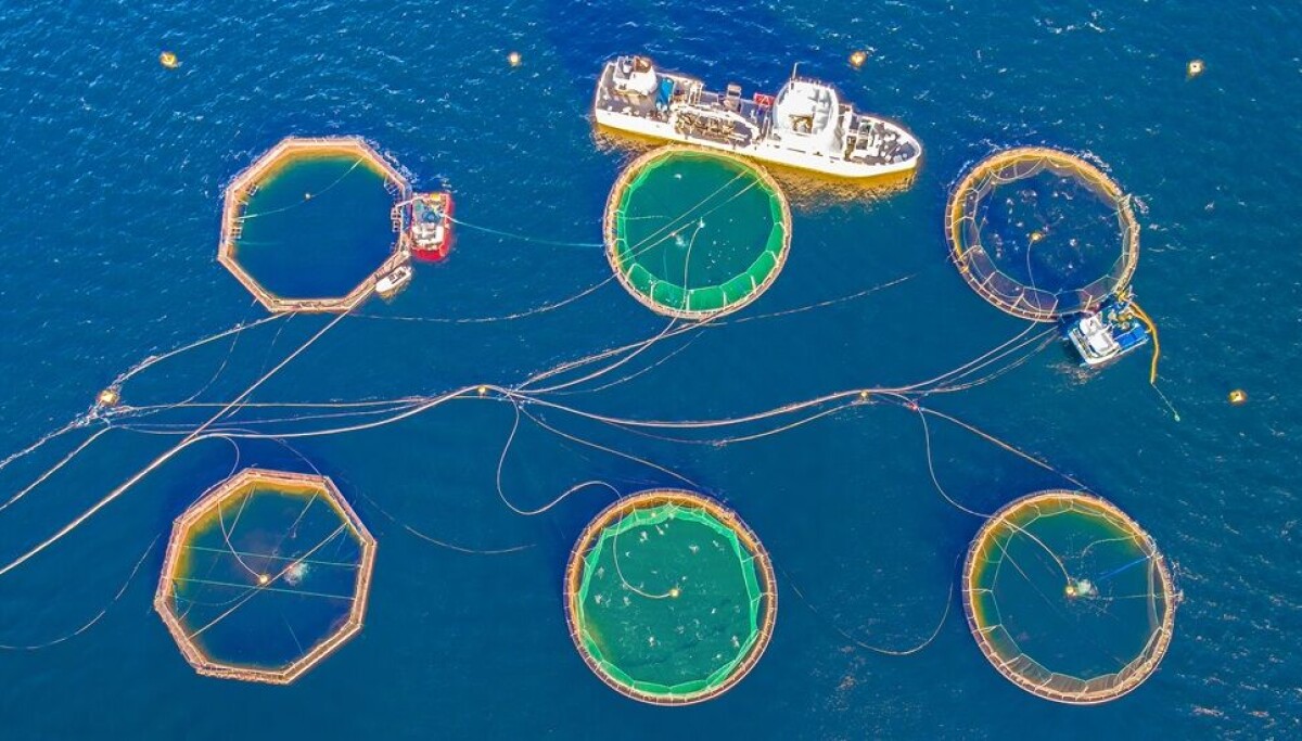 Fiskeoppdrett er minst skadelig for havbunnen i nord