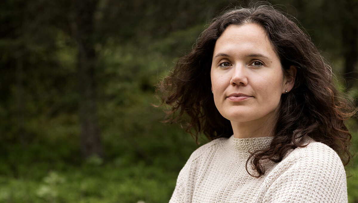 – Jeg er utrolig bekymret for at språkmodeller tar helt av, sier forsker