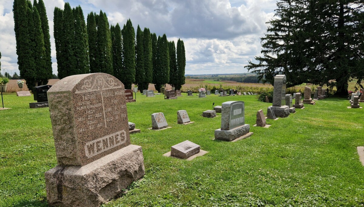 Dør det norske Amerika?