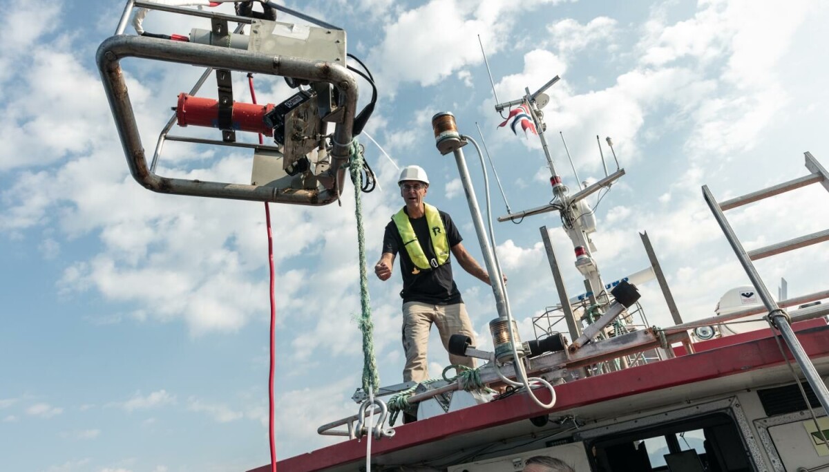 Fant ukjente koraller i Trondheimsfjorden