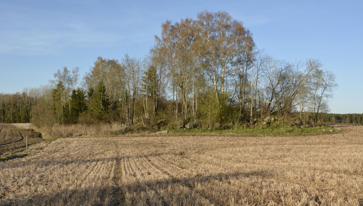 Mangfold i et hav av monokultur