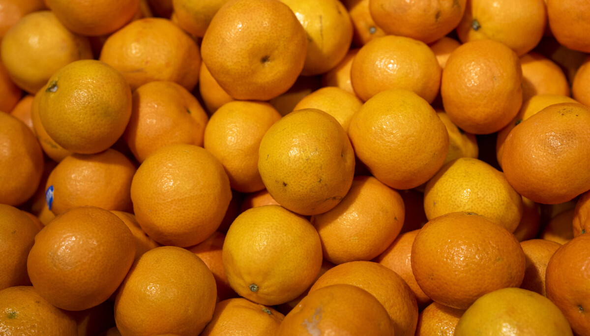 Klementin eller mandarin? SSB parkerer diskusjonen