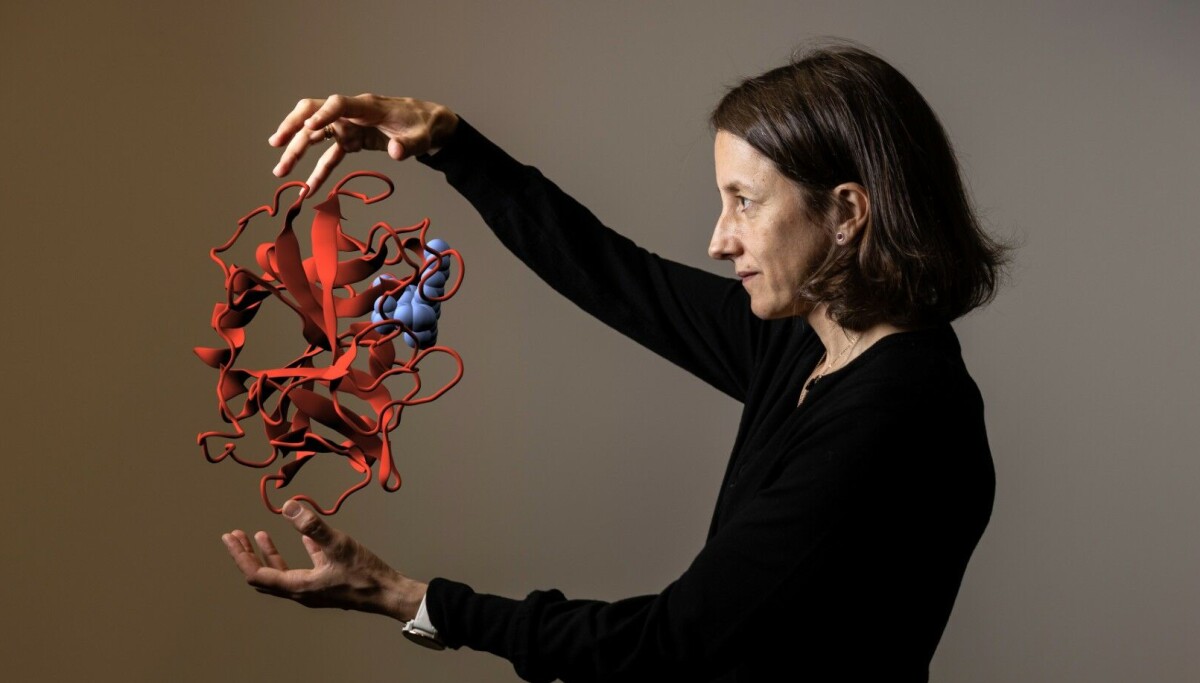 Forstyrrelser i dette systemet i kroppen kan forårsake sykdom