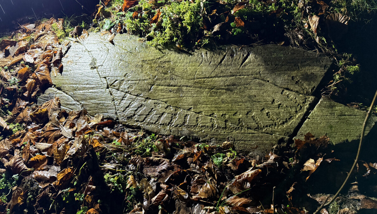 Se hva helleristningsjegeren fant i Bærum