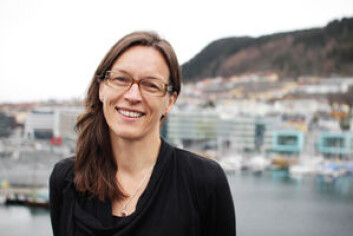 – Norsk natur har fantastisk variasjon: fra fjord til fjell og sør til nord, sier professor Vigdis Vandvik ved UiB. Hun ønsker å skape «helsedata» for norsk natur. (Foto: UiB) – Norsk natur har fantastisk variasjon: fra fjord til fjell og sør til nord, sier professor Vigdis Vandvik ved UiB. Hun ønsker å skape «helsedata» for norsk natur. (Foto: UiB)