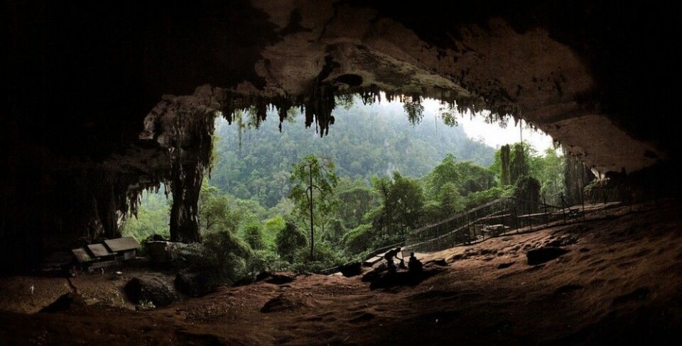 Hovedinngangen til hulesystemet i Malaysia. (Foto: Starlightchild/CC BY-SA 3.0)