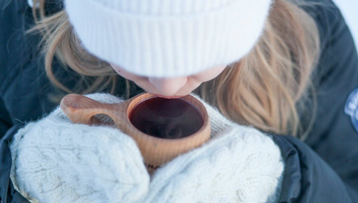 – Norske solbær fortjener større oppmerksomhet