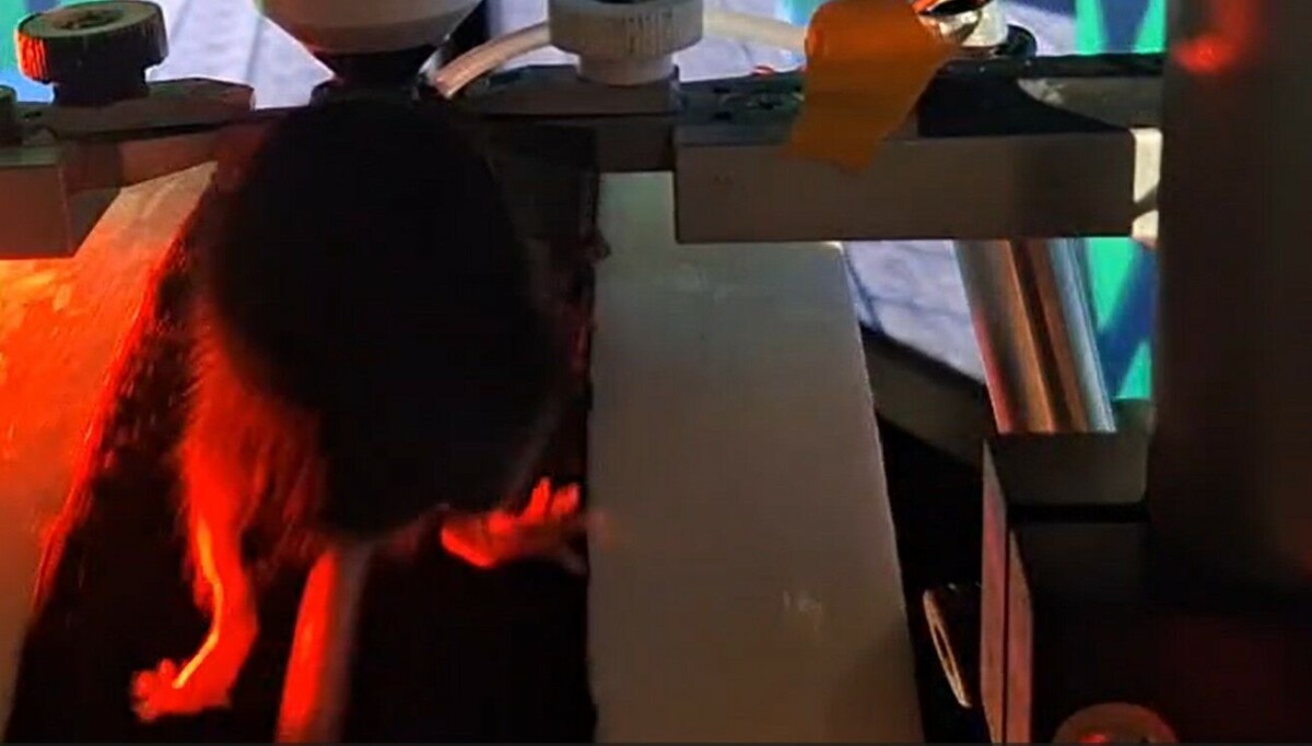 Forskere fant hjernens volumknapp