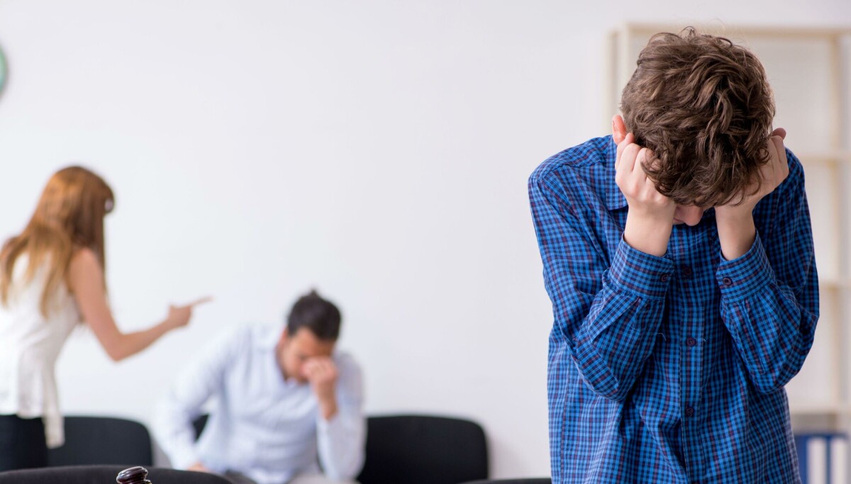 – Her kan vi få en utvikling som ikke er til barnets beste