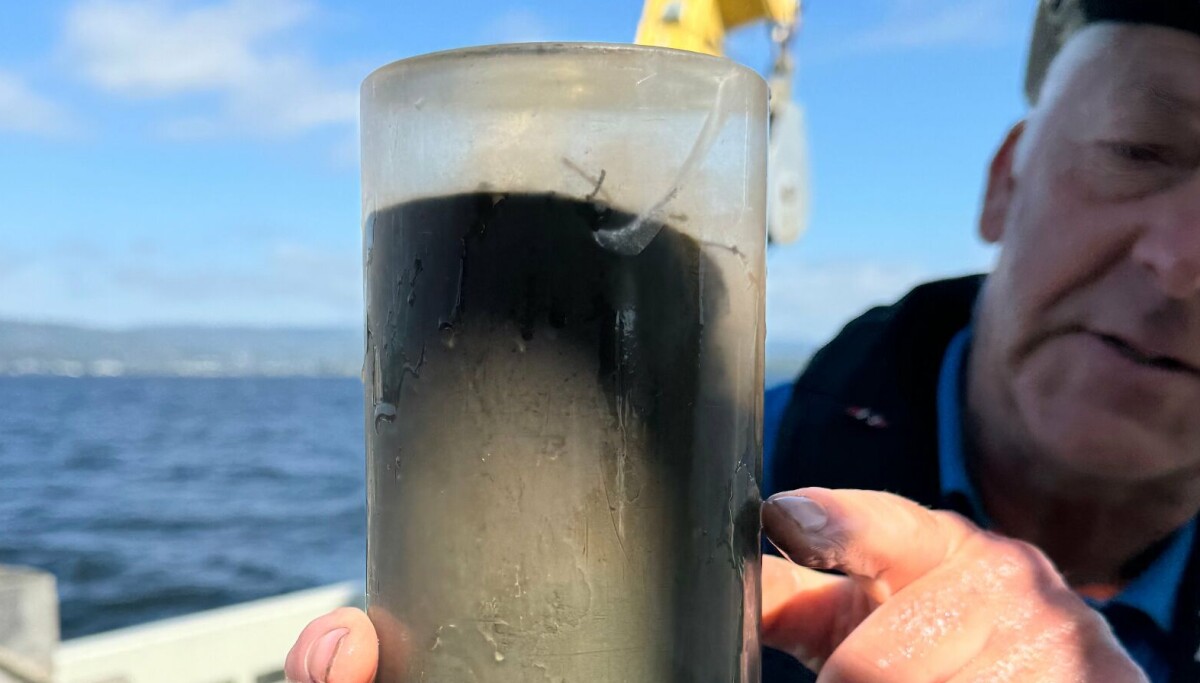 – Funnene fra havbunnen i Tromsø gir oss håp, sier forsker