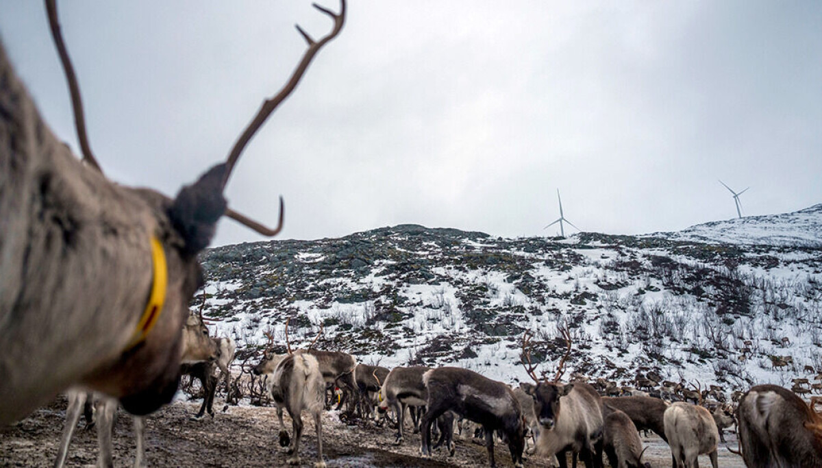 Dilemma for grønn omstilling: – Det er ironisk at urfolk og minoriteter som har hatt minst klimaavtrykk, ofte er de som blir mest utsatt for konsekvensene
