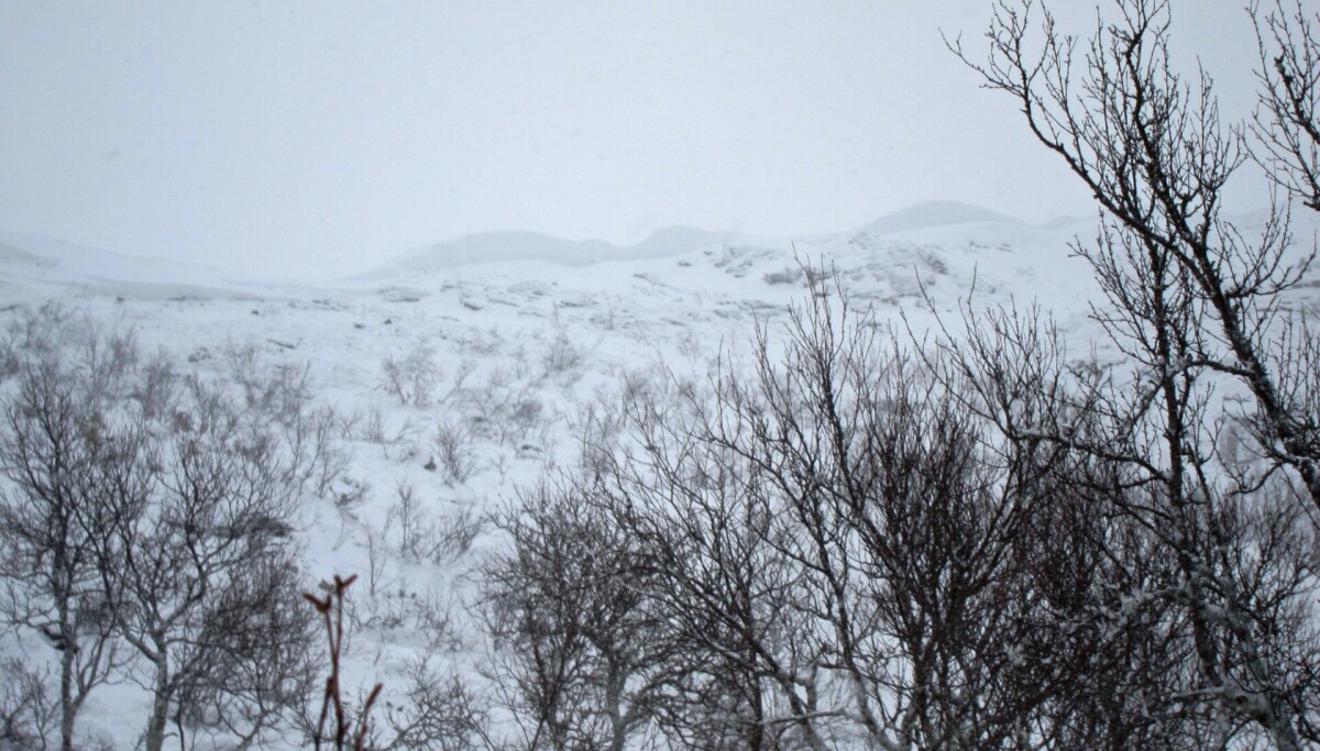 Ni av ti utløser snøskredet selv