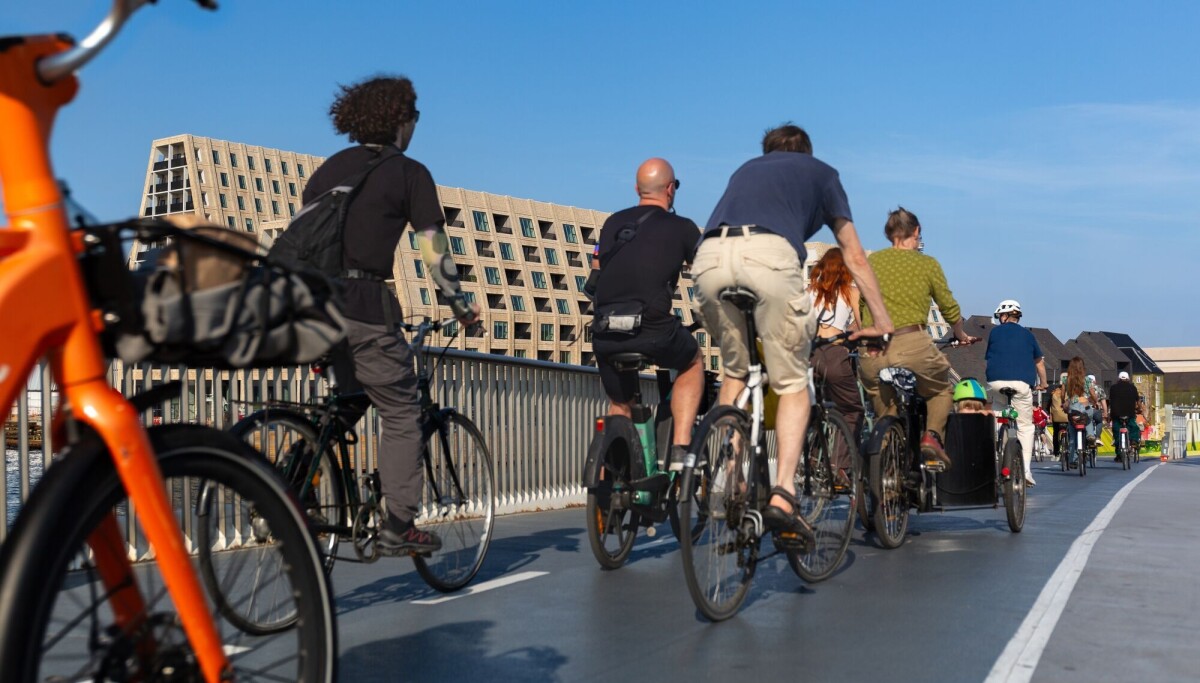 Dansker og nordmenn har ulike syn på likestilling