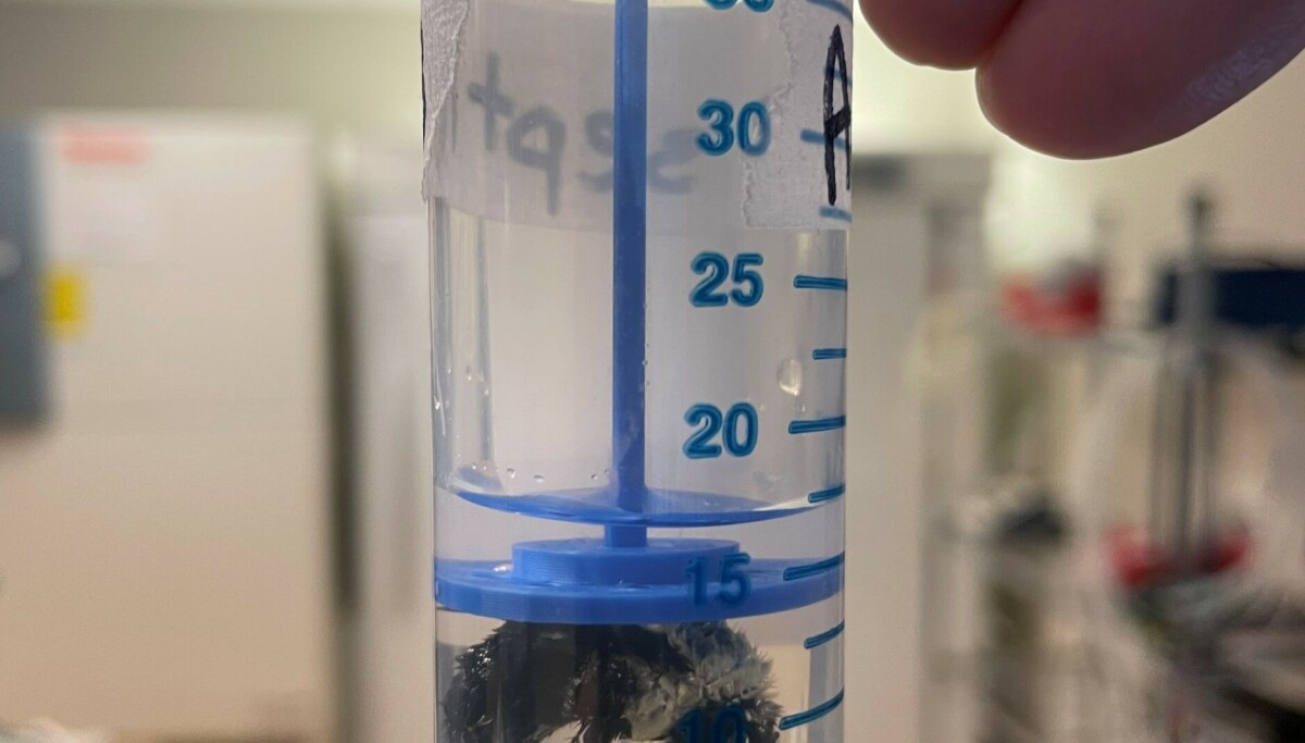 Slik overlevde humlene å være under vann i over en uke