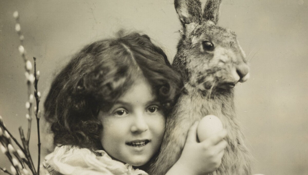 Hvor kommer påskeharen fra?