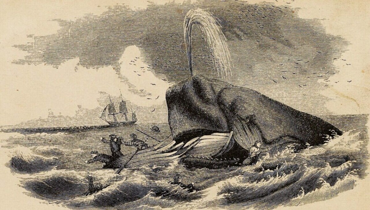 Forskere har endelig filmet noe som sjøfolk har fortalt om i hundrevis av år