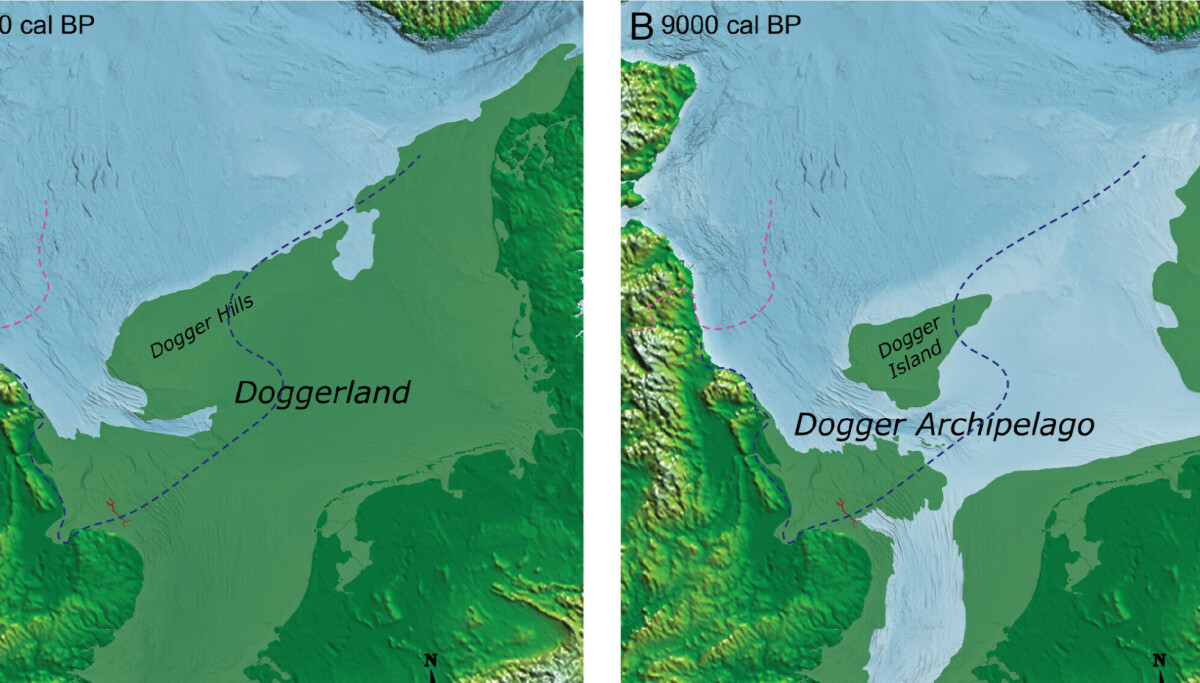 DNA-studie gir nytt innblikk i hva som levde på det tapte landområdet i Nordsjøen
