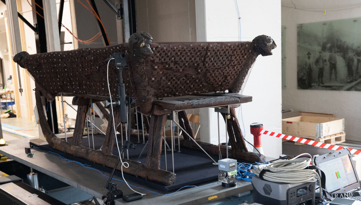 Den første sleden fra Osebergskipet er flyttet: – Mer krevende enn vikingskipene