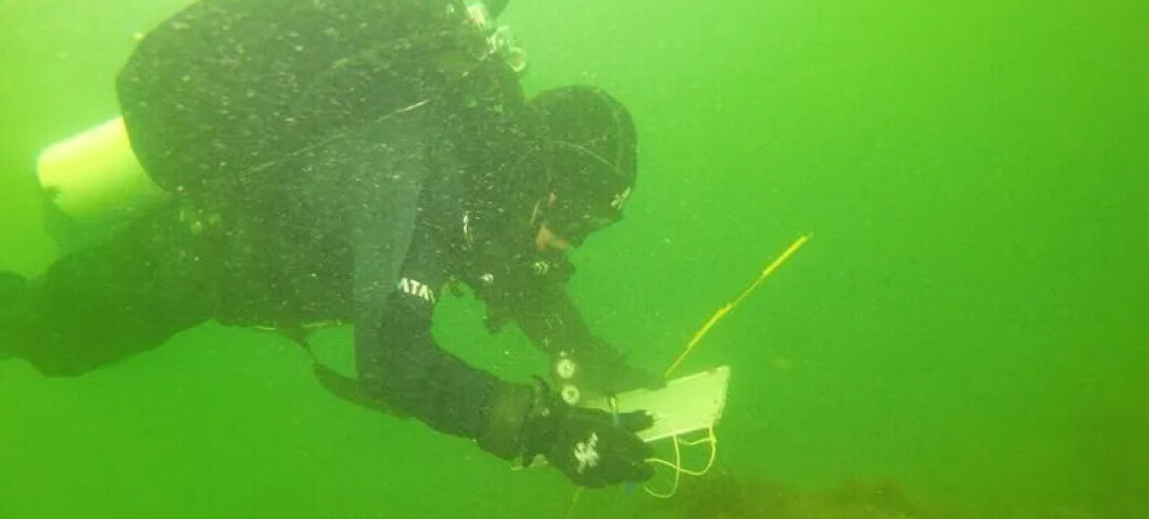 Vraket av viktig dansk-norsk krigsskip fra 1600-tallet er funnet: – Fantastisk