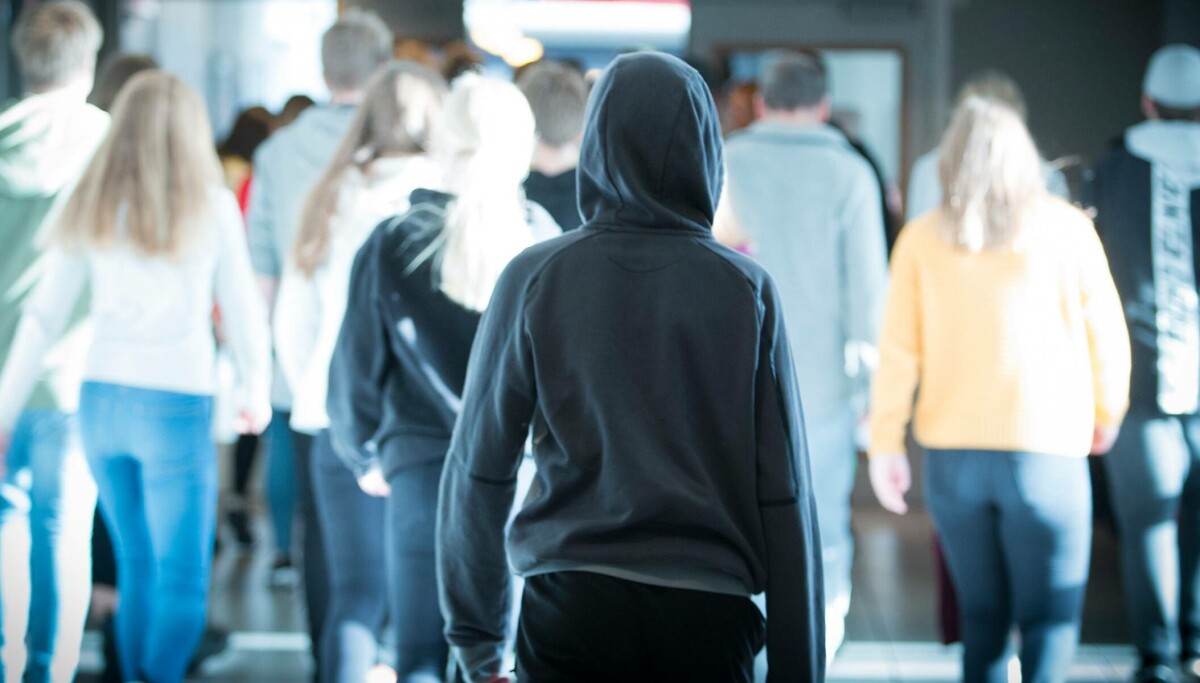 Dette vil elevene egentlig lære om sex og kropp