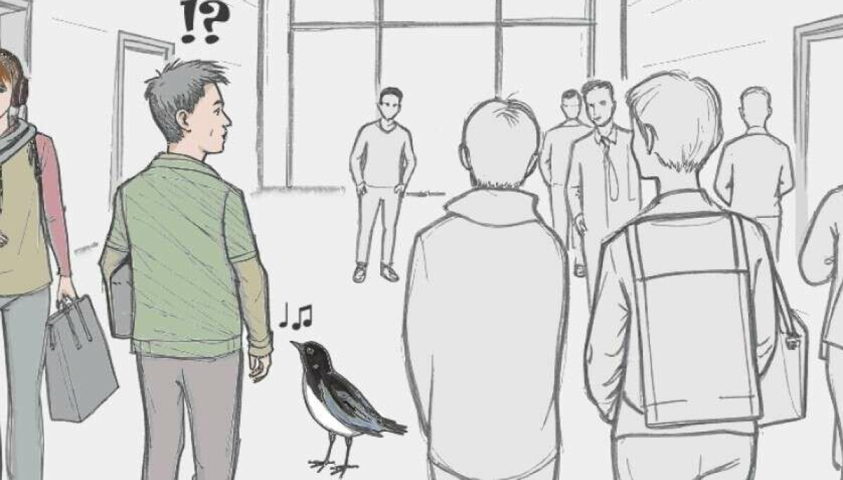 Hva skjer med oss når fuglene synger innendørs?