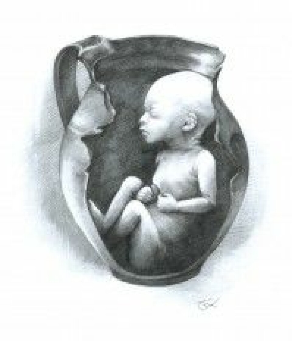Rekonstruksjon av hvordan babyen kan ha ligget i krukken. (Tegning: Luca Kis)