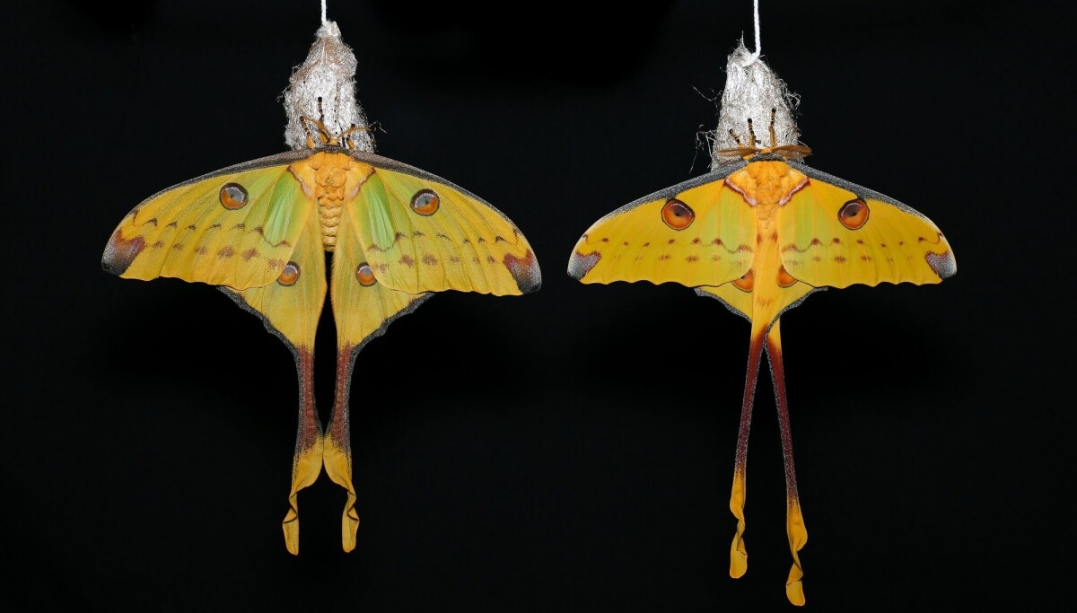 Ukens quiz: Test deg selv