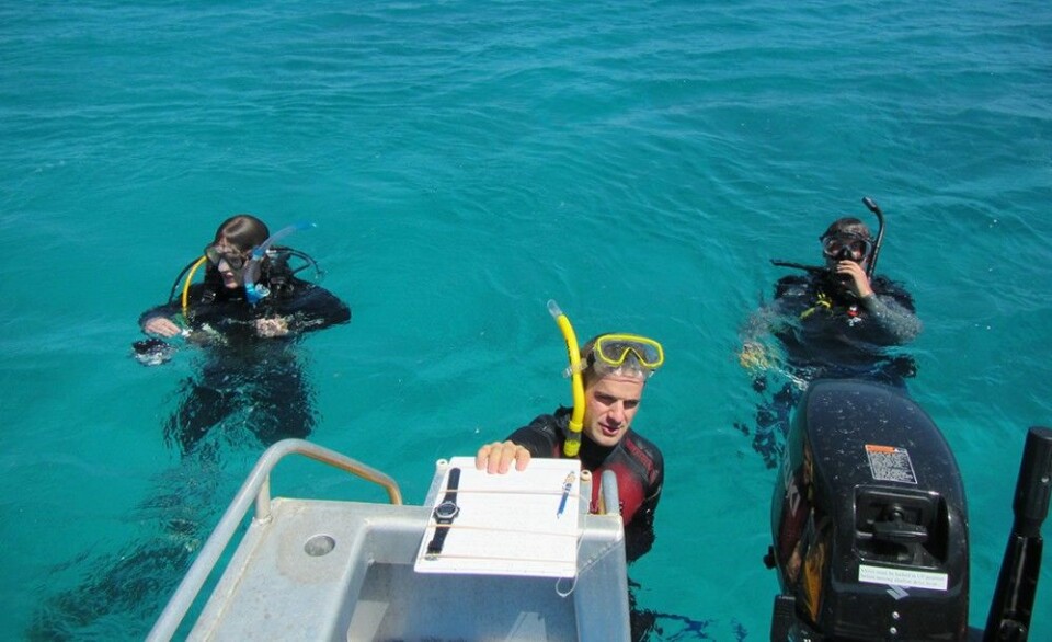 Minst to dykkere filmet hvert utslipp av fisk over Det store barriererevet (Great Barrier Reef) på østkysten av Australia. Her er forskerne Fredrik Jutfelt fra NTNU (f.v.), forsker og leder for undersøkelsen Graham Raby og seniorforsker Timothy Clark i vannet. (Foto: Josefin Sundin)
