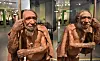Rekonstruksjon av neandertaler med stav i utstilling på et museum