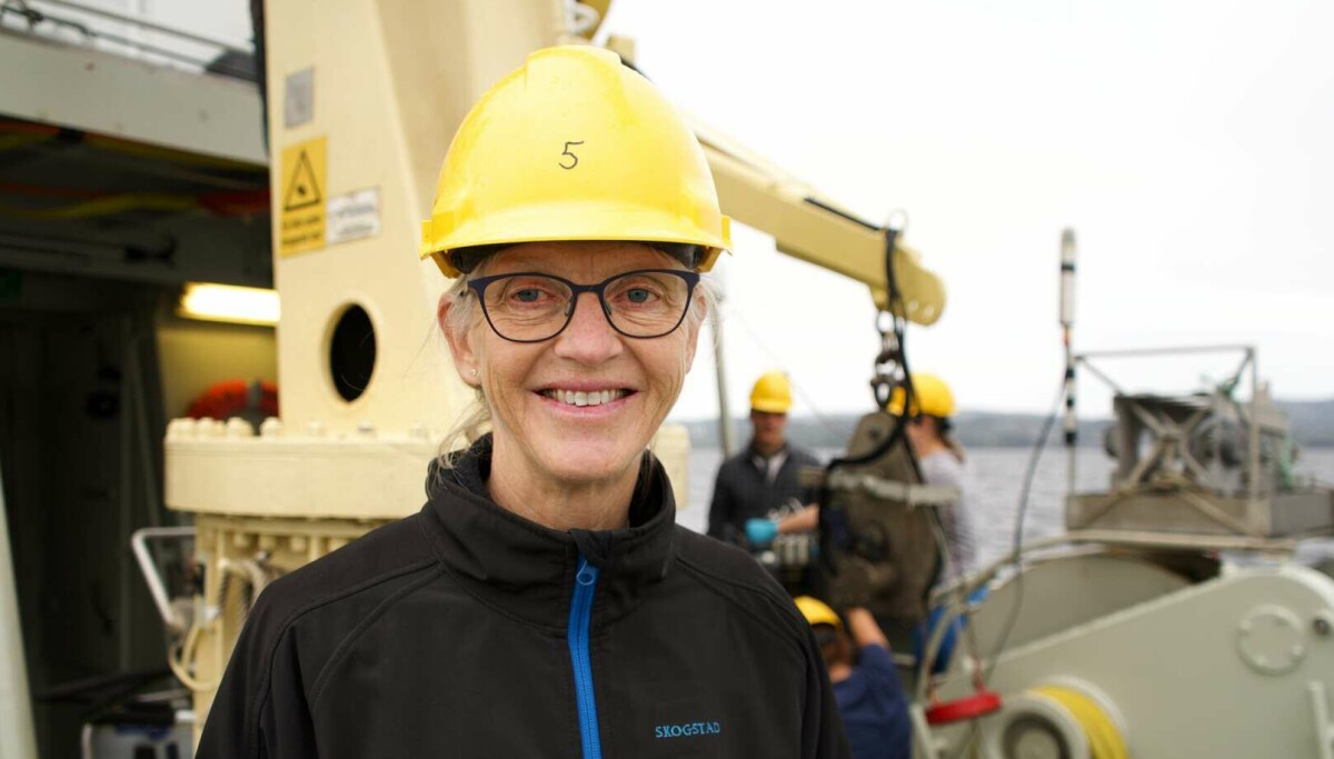 Forskere slår alarm om oppblomstring av alger i Oslofjorden