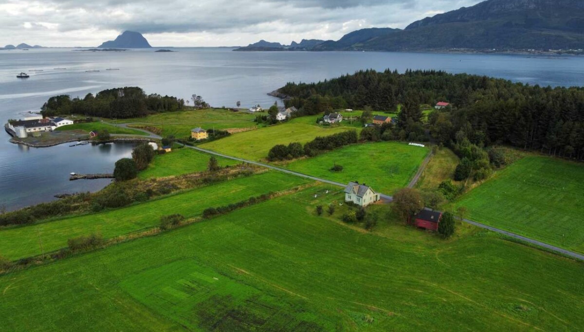 Studie: Klimagassene fra dyrket myrjord kan være lavere enn antatt