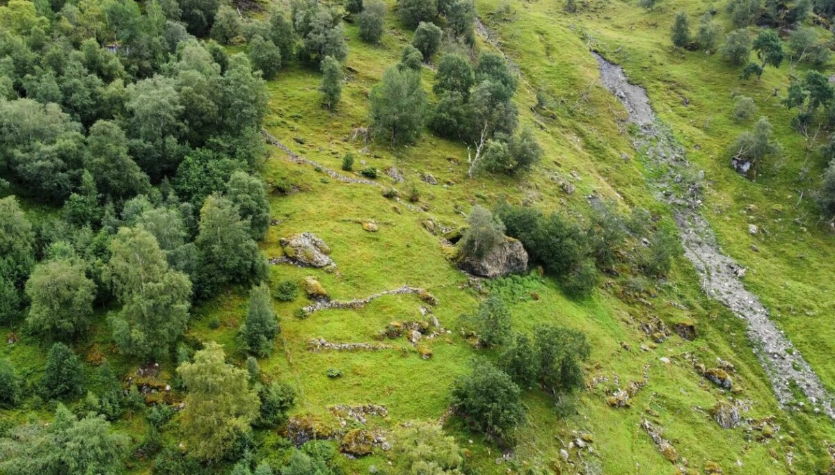 Jordskred: – Det er avgjørende å vite nøyaktig hvilken skog vi rett og slett ikke har råd til å hugge ned