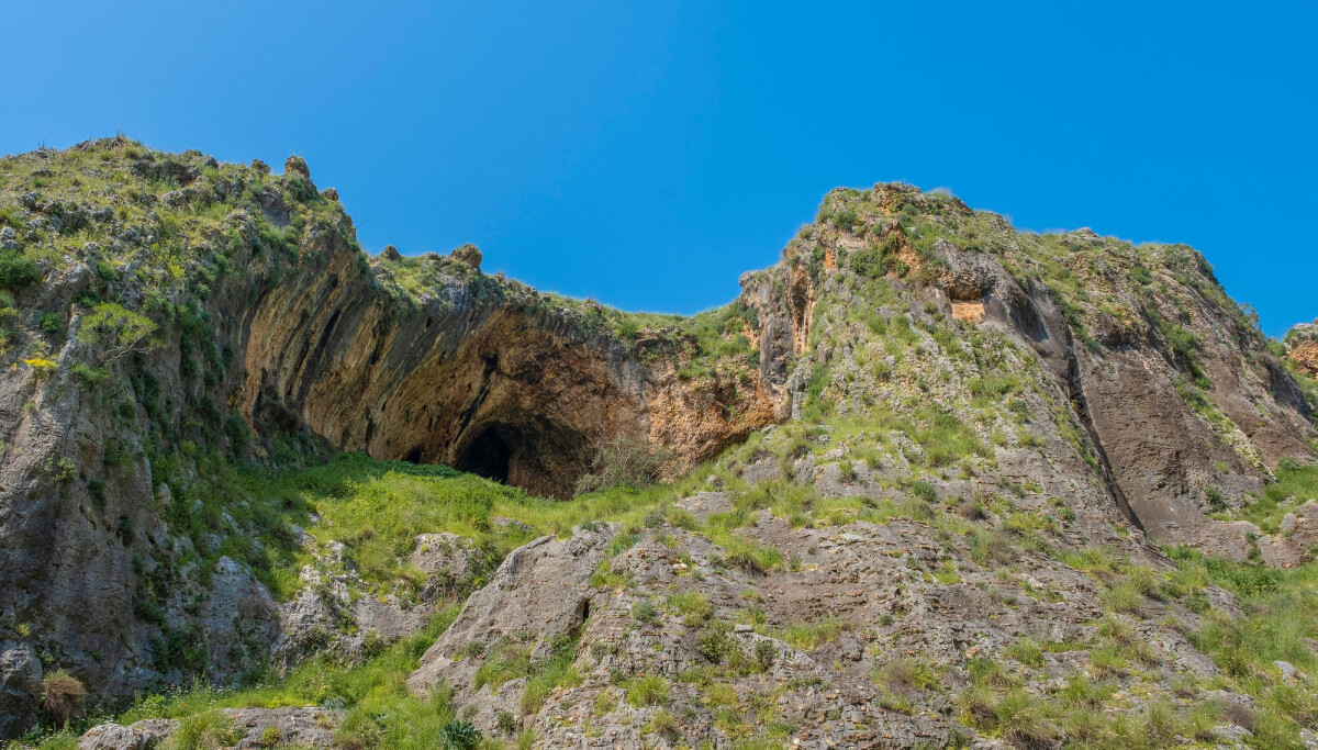 Nyfødte neandertalere var noen skikkelige kjemper