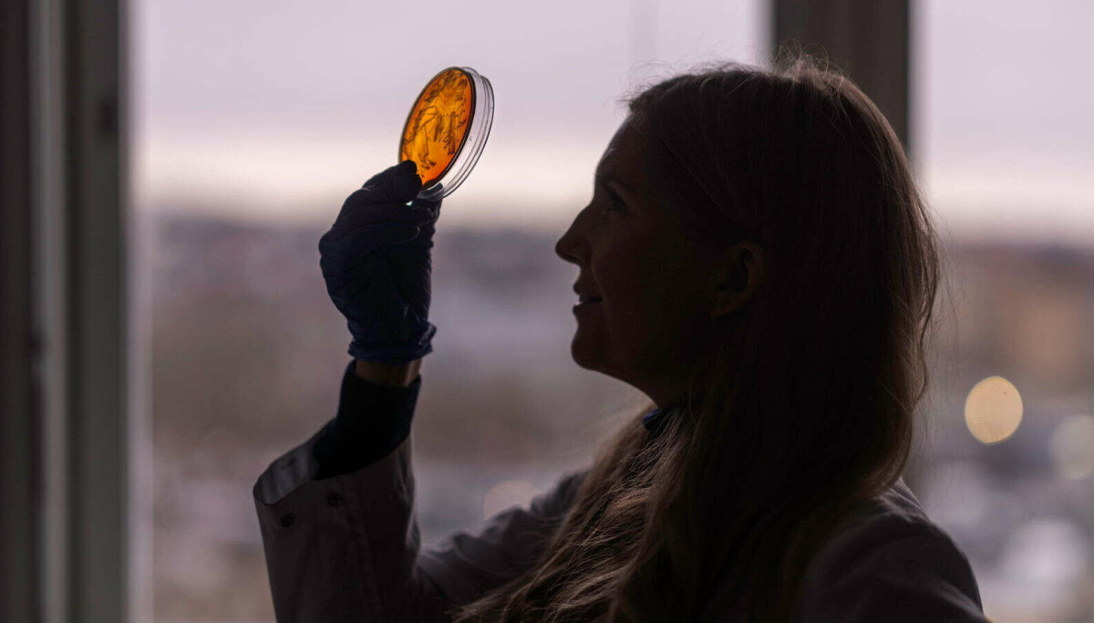 Betennelse i tannkjøttet kobles til diabetes, hjertesykdommer og Alzheimers