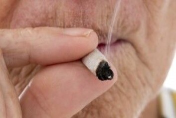 I en rekke av USAs stater kan brukere av medisinsk cannabis selv velge formen de vil innta den i. I Danmark er bare utvalgte legemidler med medisinsk cannabis tillatt, og inntil videre bare i de neste fire årene – og bare for pasienter som har problemer med kroniske smerter eller med følger av multippel sklerose, cellegift eller ryggmargsskader. (Foto: Vinicius Tupinamba / Shutterstock / NTB scanpix) I en rekke av USAs stater kan brukere av medisinsk cannabis selv velge formen de vil innta den i. I Danmark er bare utvalgte legemidler med medisinsk cannabis tillatt, og inntil videre bare i de neste fire årene – og bare for pasienter som har problemer med kroniske smerter eller med følger av multippel sklerose, cellegift eller ryggmargsskader. (Foto: Vinicius Tupinamba / Shutterstock / NTB scanpix)