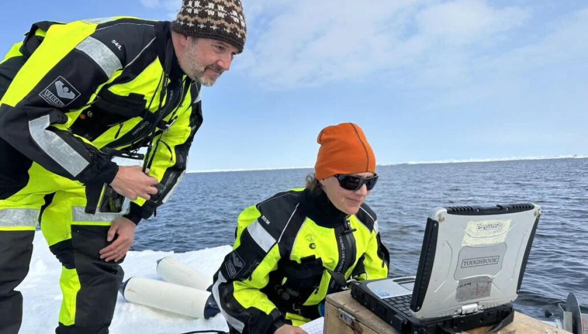 Ny, stor oversikt over Polhavets minste organismer