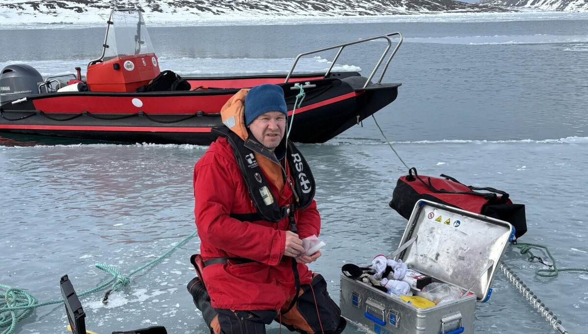 I år var det svært lite havis å forske på i denne fjorden