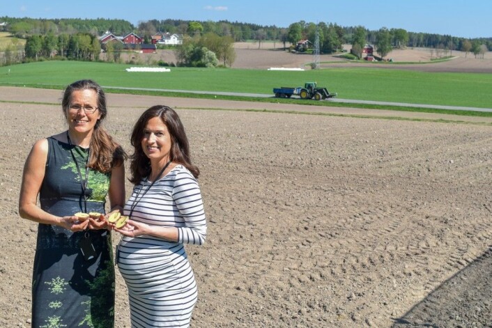 Seniorforskar May Bente Brurberg og forskar Merete Wiken Dees frå Norsk institutt for bioøkonomi (NIBIO). (Foto: Siri Elise Dybdal) Seniorforskar May Bente Brurberg og forskar Merete Wiken Dees frå Norsk institutt for bioøkonomi (NIBIO). (Foto: Siri Elise Dybdal)