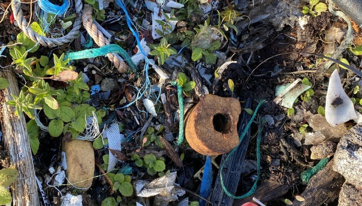 Slik påvirker mikroplast karbonopptaket i havet
