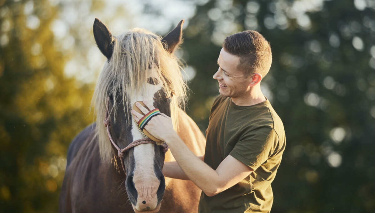 En hest kan gjøre godt for både pasient og terapeut