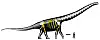Illustrasjon av skjelettet til en langhalset dinosaur hvor noen av knoklene er farget gule, ved siden av en liten menneskefigur.