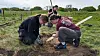 Tre personer sitter på huk på bakken. Den ene holder det som kan være en spade, med retning ned mot jorden.