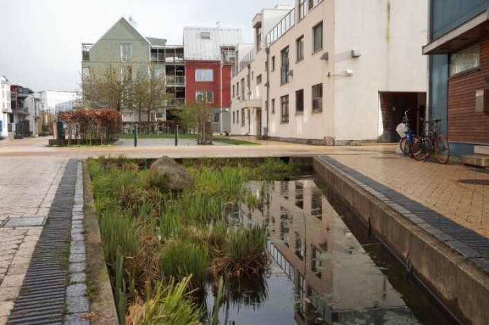 Regnet som traff København, rammet deretter også Sør-Sverige. Byen Malmö har siden den gang satt inn flere tiltak for overvannshåndteirng, her med en dam på Vesterhamn. (Foto: Helena Nordh) Regnet som traff København, rammet deretter også Sør-Sverige. Byen Malmö har siden den gang satt inn flere tiltak for overvannshåndteirng, her med en dam på Vesterhamn. (Foto: Helena Nordh)