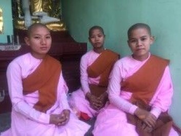 Unge buddhistiske nonner i det buddhistiske tempelet Shwedagon Padoga. (Foto: Sidsel Holmberg) Unge buddhistiske nonner i det buddhistiske tempelet Shwedagon Padoga. (Foto: Sidsel Holmberg)