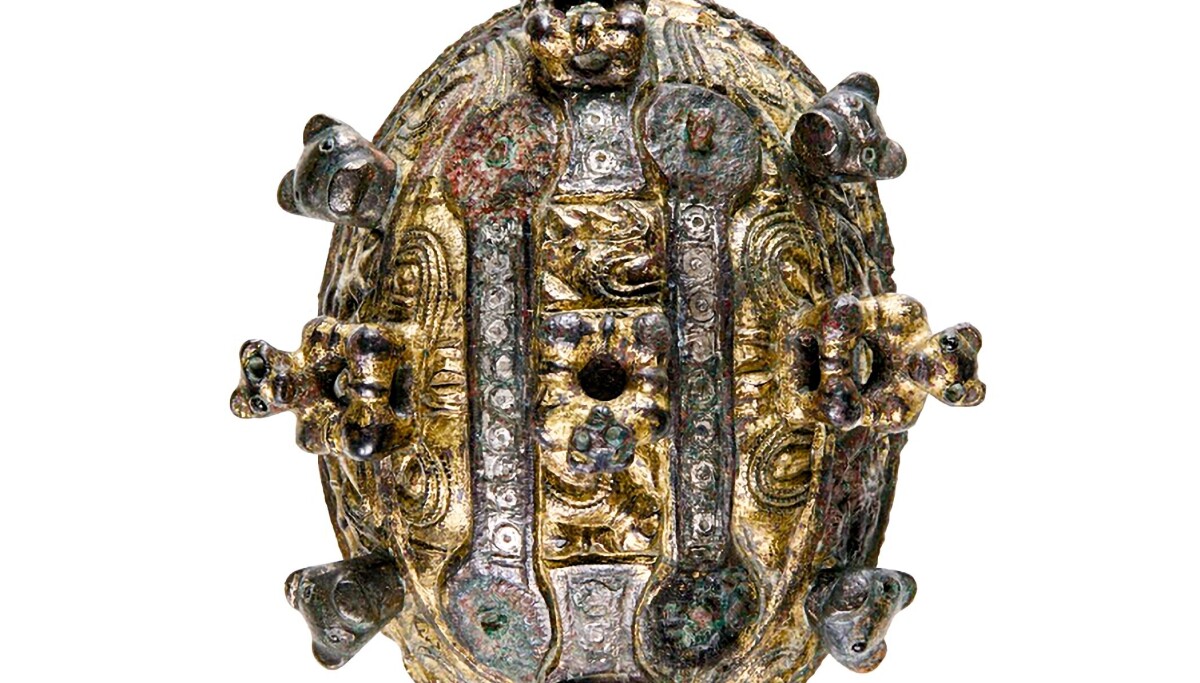 Bjørnesmykker fra vikingtiden tilbake i Norge etter 1.200 år: – Helt spesiell begivenhet